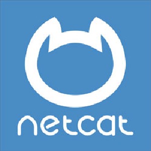 База доменов NetCat в зоне RU